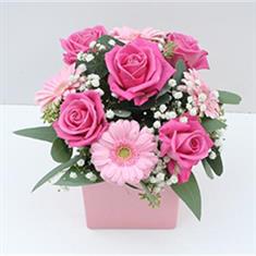 Pink Surprise