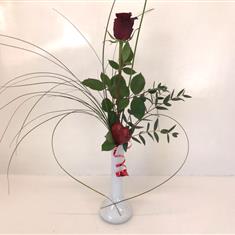 Single Red Rose in a white vase