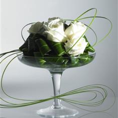 Martini