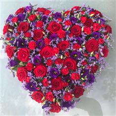 Red Rose and Purple Heart